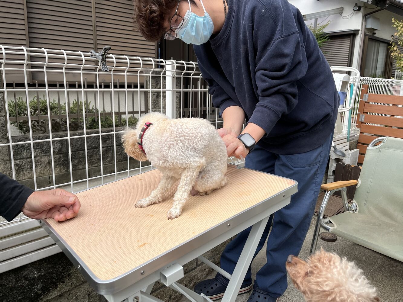 ブログ