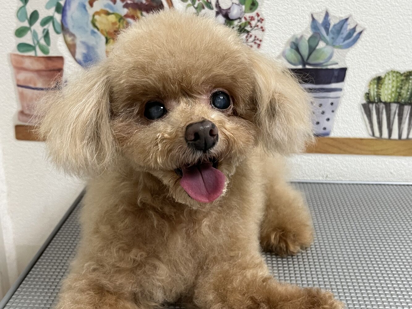 ブログ