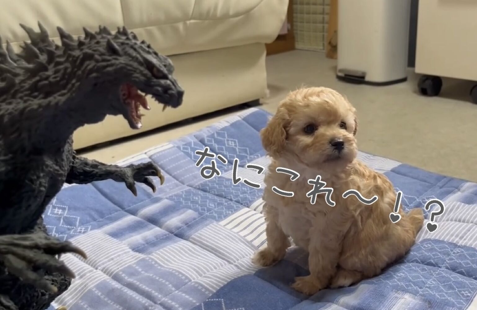 ブログ