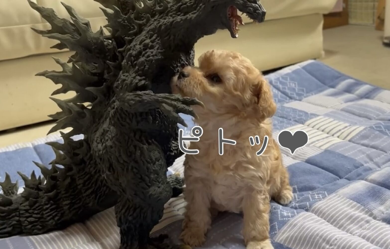 ブログ